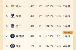 开云体育官方网站-快船连战连胜，继续领跑西部